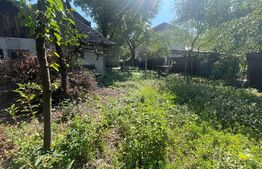 Casa, 180 mp, teren, 800mp, zona Central