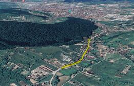 Teren, 700mp, Valea Ghinzii