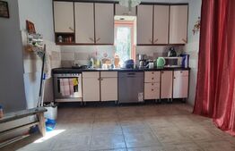 Casa, 131mp, teren, 8 ari, zona Central