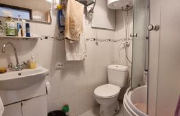 Casa, 131mp, teren, 8 ari, zona Central