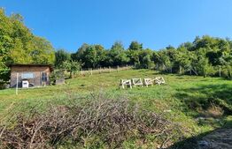 Casa, 131mp, teren, 8 ari, zona Central