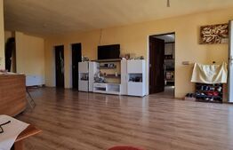 Casa, 131mp, teren, 8 ari, zona Central