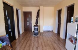 Casa, 131mp, teren, 8 ari, zona Central