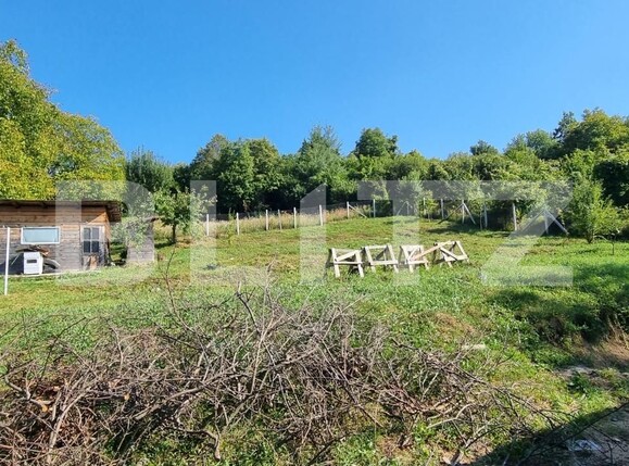 Casa de vânzare 5 camere Central - 126174CV | BLITZ Bistriţa | Poza9