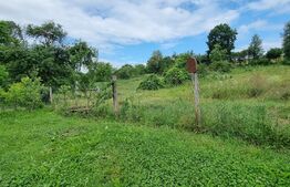 Casa 3 camere, 100 mp, teren, 2000 mp, zona Vest