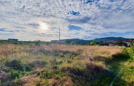 Teren intravlian, 900 mp, zona strazii Bradului 