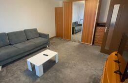 Apartament cu o cameră, mobilat, loc de parcare, 40mp, Stefan cel Mare