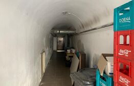 Spatiu comercial, 250 mp, zona Central