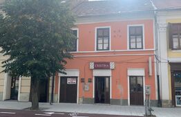 Spatiu comercial, 250 mp, zona Central