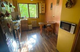 Apartament 2 camere, 50 mp, zona Centrala 