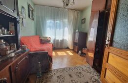 Apartament de 3 camere etaj 1, 100mp utili, Valea Ghinzii 