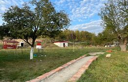 Casa 4 camere, 174 mp, teren, 1600 mp, zona Unirea