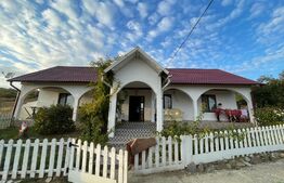 Casa 4 camere, 174 mp, teren, 1600 mp, zona Unirea