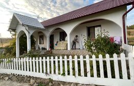 Casa 4 camere, 174 mp, teren, 1600 mp, zona Unirea