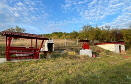 Casa 4 camere, 174 mp, teren, 1600 mp, zona Unirea