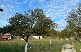 Casa 4 camere, 174 mp, teren, 1600 mp, zona Unirea