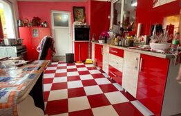 Casa 4 camere, 174 mp, teren, 1600 mp, zona Unirea