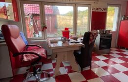 Casa 4 camere, 174 mp, teren, 1600 mp, zona Unirea