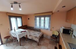 Casa Individuala 4 camere 200mp utili,teren 960mp,zona viisoara