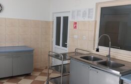 Casa + Centru de in grijire varsnici (Afacere la cheie)