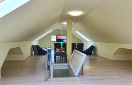 Vila, 400 mp, teren, 600 mp, Central