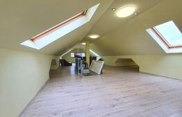 Vila, 400 mp, teren, 600 mp, Central