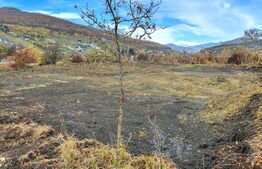 Teren intravilan, 770 mp,  Valea Ghinzii