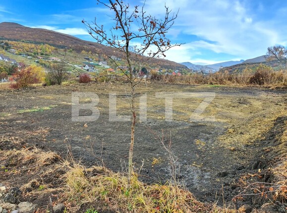 Teren de vânzare Exterior Est - 129499TV | BLITZ Bistriţa | Poza1