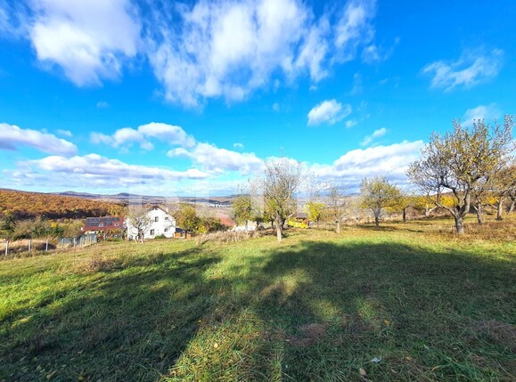 Teren de vânzare Exterior Sud - 129501TV | BLITZ Bistriţa | Poza2