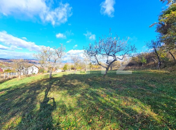 Teren de vânzare Exterior Sud - 129501TV | BLITZ Bistriţa | Poza1