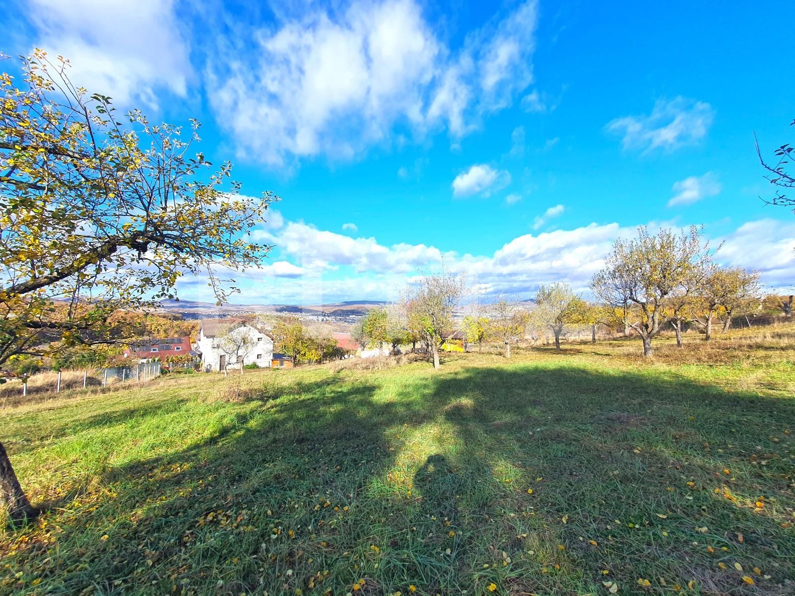 Teren de vânzare Exterior Sud - 129501TV | BLITZ Bistriţa | Poza3