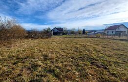 Blitz vă propune un teren de 25 ari în localitatea Livezile