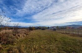 Blitz vă propune un teren de 25 ari în localitatea Livezile