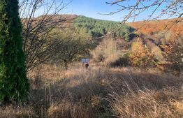 Teren Intravilan Valea Slatinitei 3200mp