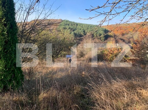 Teren de vânzare Unirea - 130022TV | BLITZ Bistriţa | Poza2