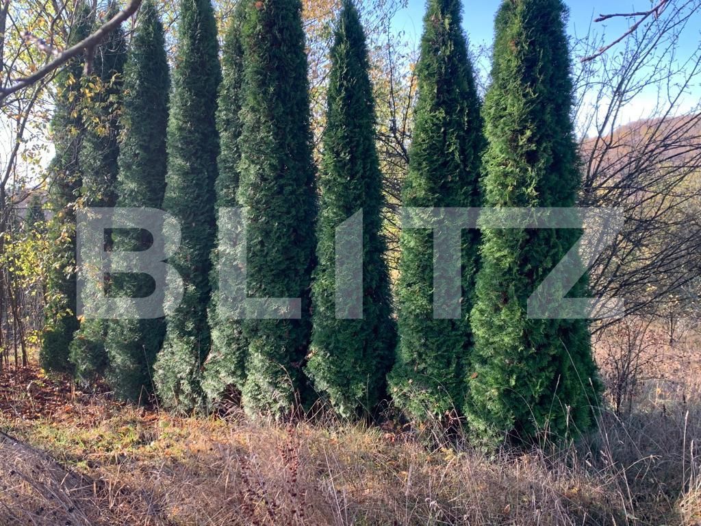 Teren de vânzare Unirea - 130022TV | BLITZ Bistriţa | Poza4