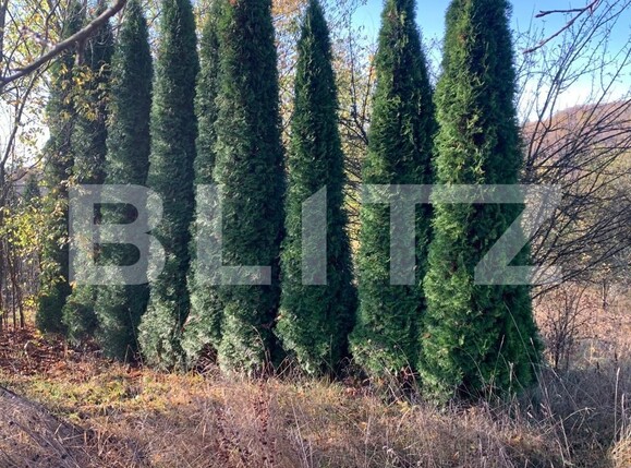 Teren de vânzare Unirea - 130024TV | BLITZ Bistriţa | Poza1