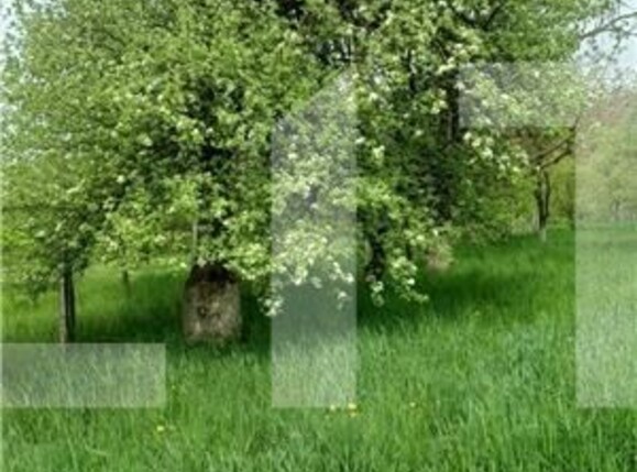 Teren de vânzare Unirea - 130026TV | BLITZ Bistriţa | Poza1