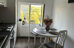 Apartament 1 camera, 41mp, spatios, zona Sud