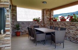 Casa individuala 270mp,2300 mp de teren cu lac de pesti, zona Nasaud