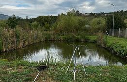 Casa individuala 270mp,2300 mp de teren cu lac de pesti, zona Nasaud