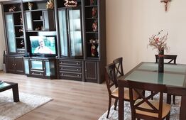 Casa individuala 270mp,2300 mp de teren cu lac de pesti, zona Nasaud