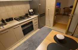 Apartament 1 camera, 37 mp, balcon, Central