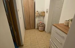 Apartament 1 camera, 37 mp, balcon, Central