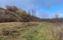 Teren, 6700 mp, zona Livezile