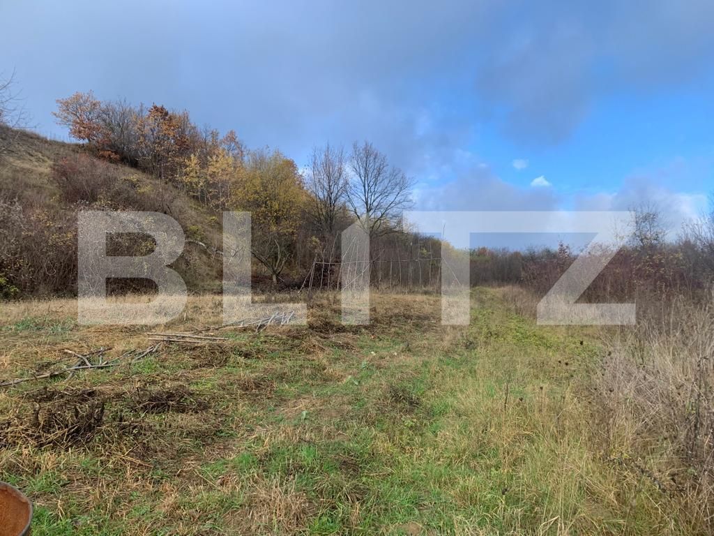 Teren de vânzare Unirea - 130644TV | BLITZ Bistriţa | Poza5