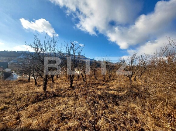 Teren de vânzare Exterior Nord - 130922TV | BLITZ Bistriţa | Poza1