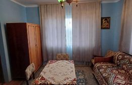 Casa de vanzare ,teren 4000mp, Prundu Bargaului