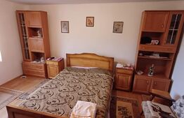 Casa de vanzare ,teren 4000mp, Prundu Bargaului