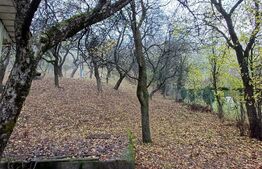 Casa de vanzare ,teren 4000mp, Prundu Bargaului